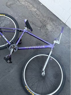 throne 29er