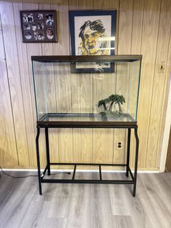 45 Gallon Fish Tank with Stand - Great Condition
