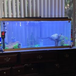 50 Gallon Aquarium Full Set