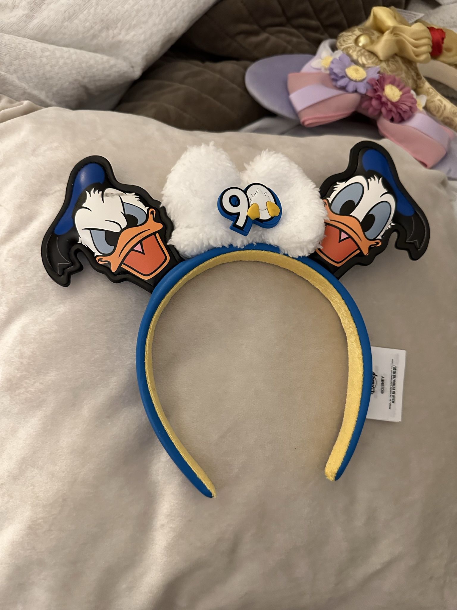 Disney world Orlando Donald Duck Ears