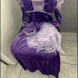 Renaissance Festival/ Halloween Costume. New Purple Wig$6. Princess Gown $12…Worn For 2 Hours At Hospital Function.. No Crown..  Size Small 
