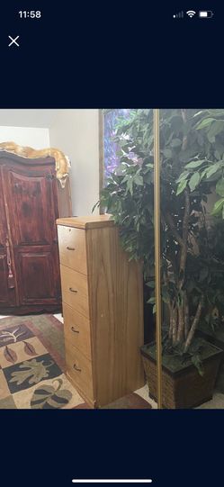Mirrored Closet Doors