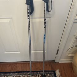 LEKI Ski Poles