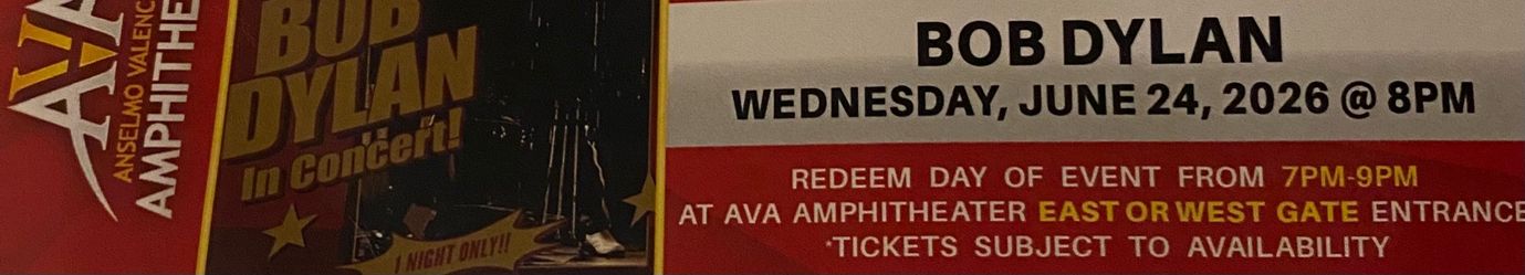 Bob Dylan Concert