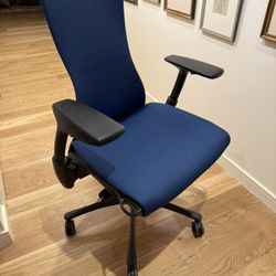 Herman Miller Embody Office Chair