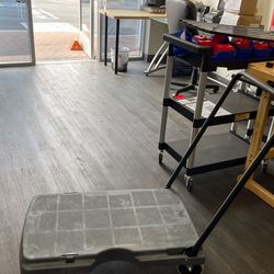 500 Lb Capacity Platform Dolly