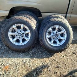 Yantas Nuevas