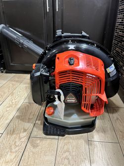 Echo Blower