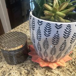 Beautiful, Succulent And Candle