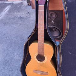Art Lutherie Parlor Guitar