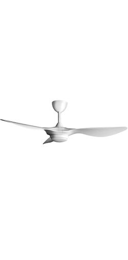 Reiga ceiling fan