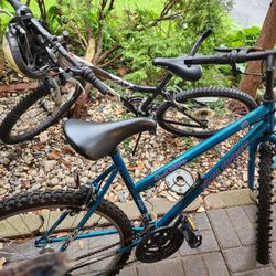 Fuji Dynamite 2.0 and Free Spirit Cool Water Bikes