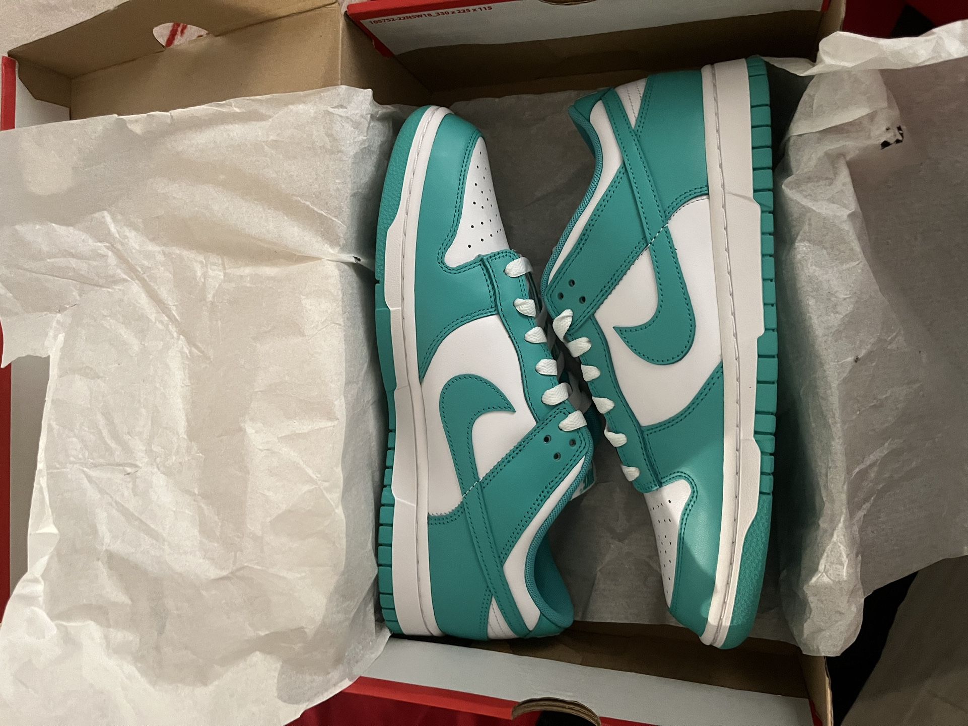 Brand New Dunks