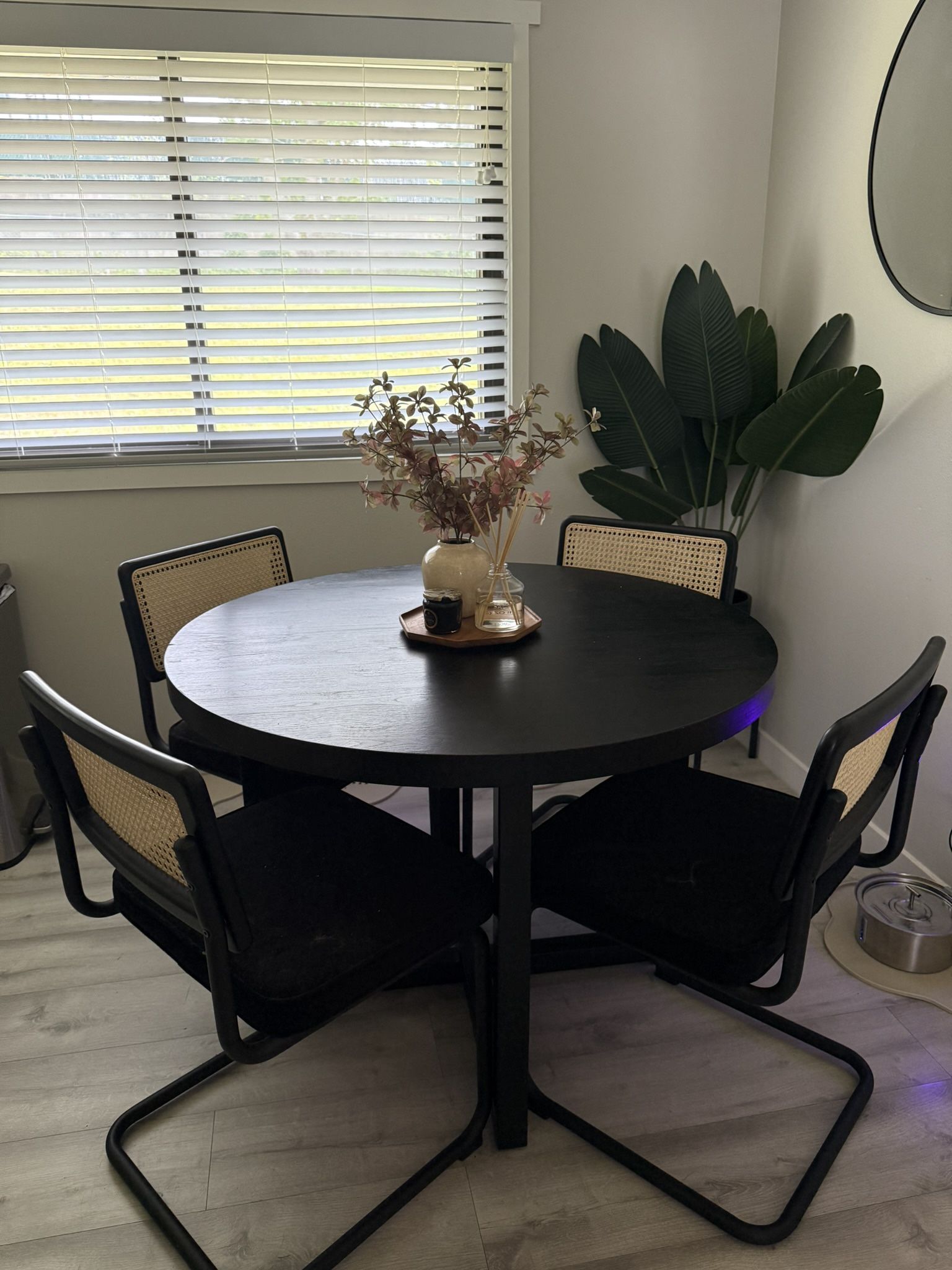 Dining Table + Chairs (together or separate)
