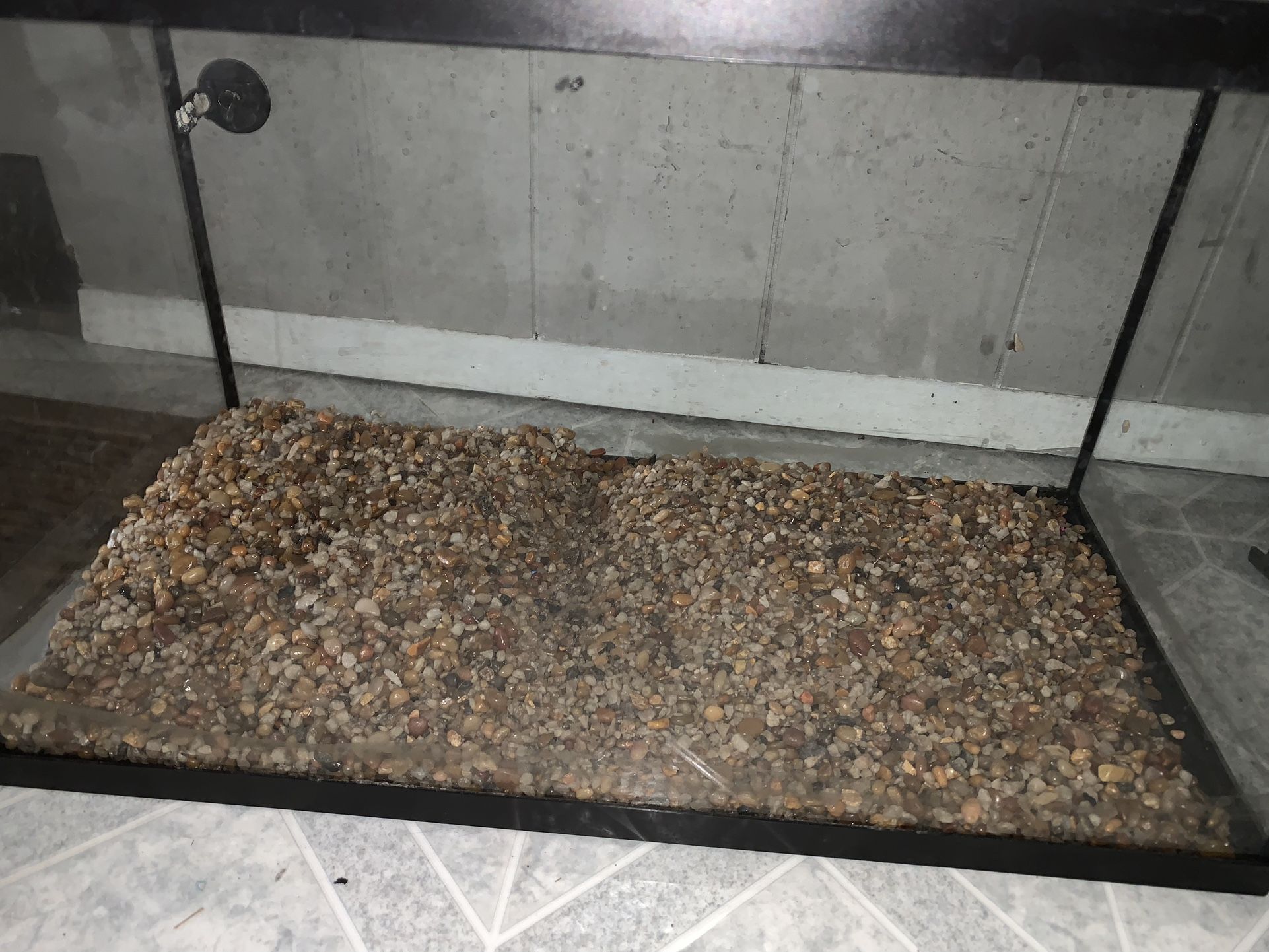 Fish Tank