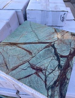MSI Verde Amazonia 12 in. x 12 in. Polished Marble Floor and Wall Tile (10 sq. ft./Case)