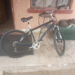 Nishiki Mountain bike 