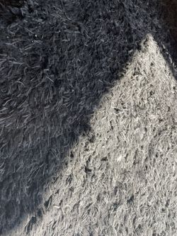 Shag Rug 7x10