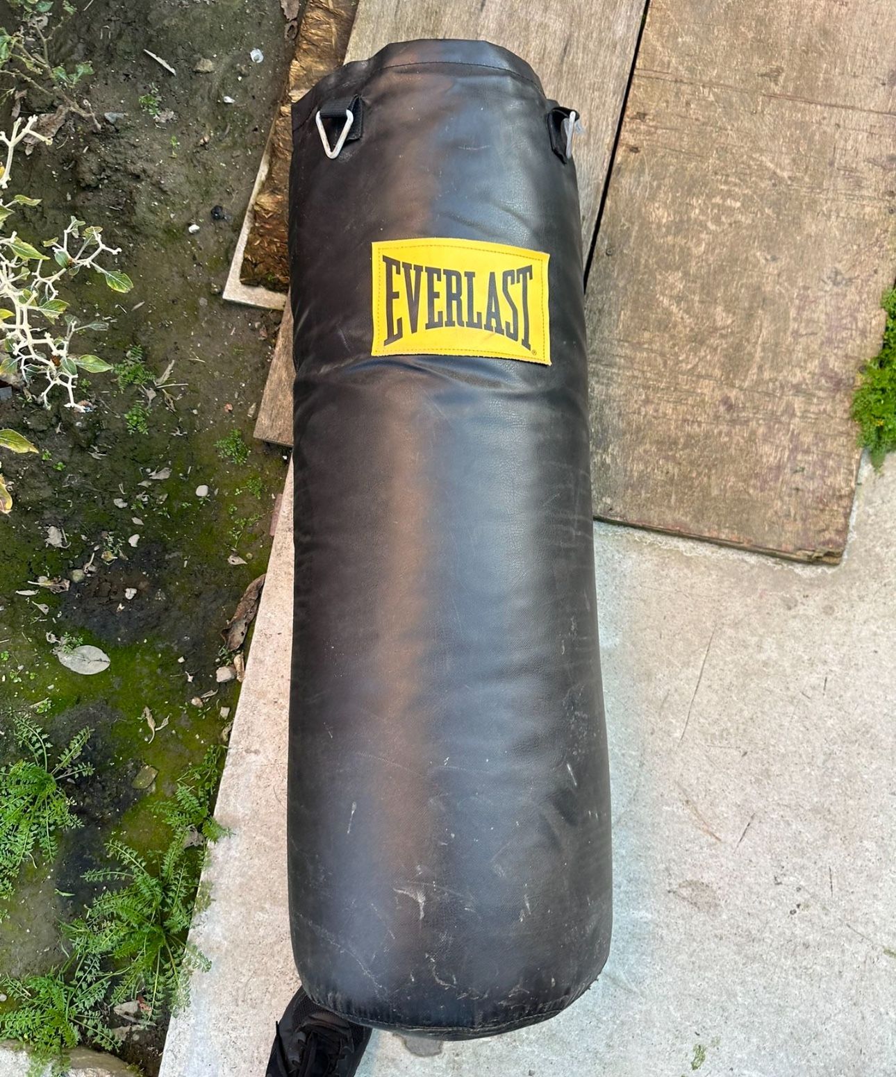 Everlast Punching Bag