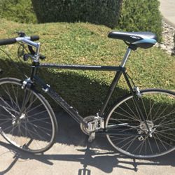 Trek  Road Bike  Larg Size  Carbon Frame 