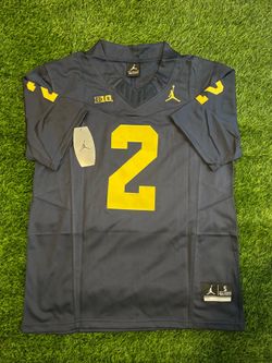 Michigan Wolverines Charles Woodson Jersey - Men’s Small