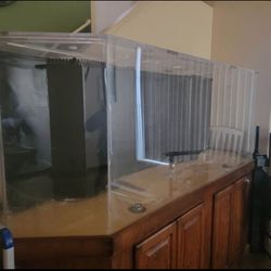 Salt Water Fish Tank 