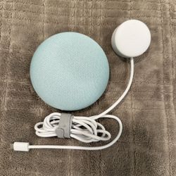 Google Home Mini
