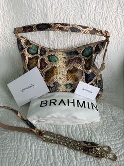 BRAHMIN -Multi Color Snake Edie