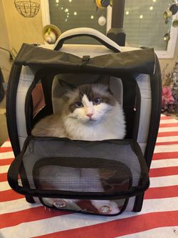 Brand new expandable pet backpack