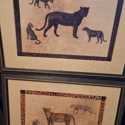 Set Of 2 16x20 Framed Leopard Prints $10 For Set