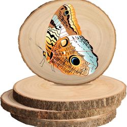 Brand New Unfinished Wood Slices