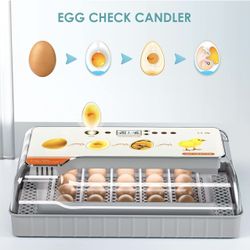 Upgraded Auto Digital Incubator, 20 Eggs Natural Incubation Simulator, Auto Egg Rolling and Water Fulfilling, 24H Temperature Control, with LED Egg Ca