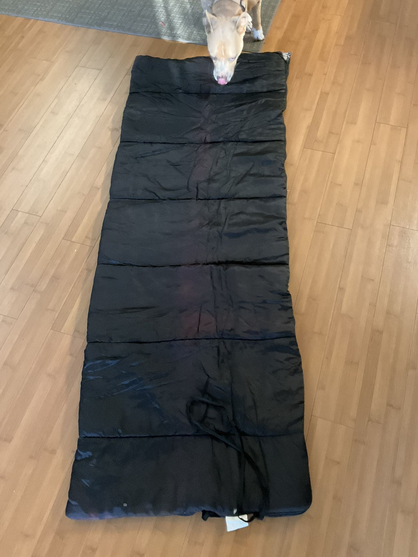 Light Weight Sleeping Bag 26"X70" Non-rated