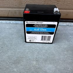Emergency Lighting Battery