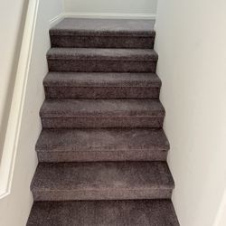 Carpet🔥