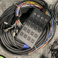 Livewire Advantage 16x4 Snake with XLR/TRS inputs and TRS Returns 50 ft. Black