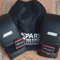 Taekwondo Gloves 