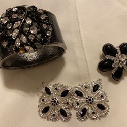 Costume Jewelry (silver and black)