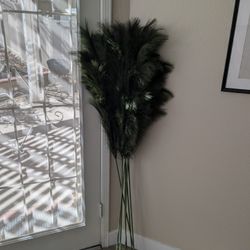 Green Pampas Grass - South Corona 92883