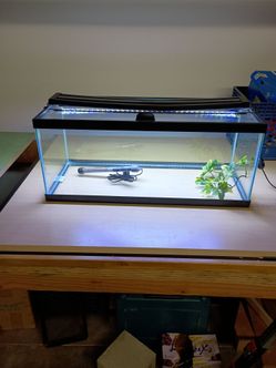 Aquarium fish tank 20 gallon long