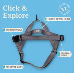 Vibrant Life Easy-On Dog Harness XL Gray