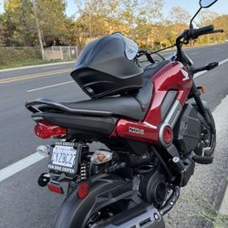 Honda Navi 2024 