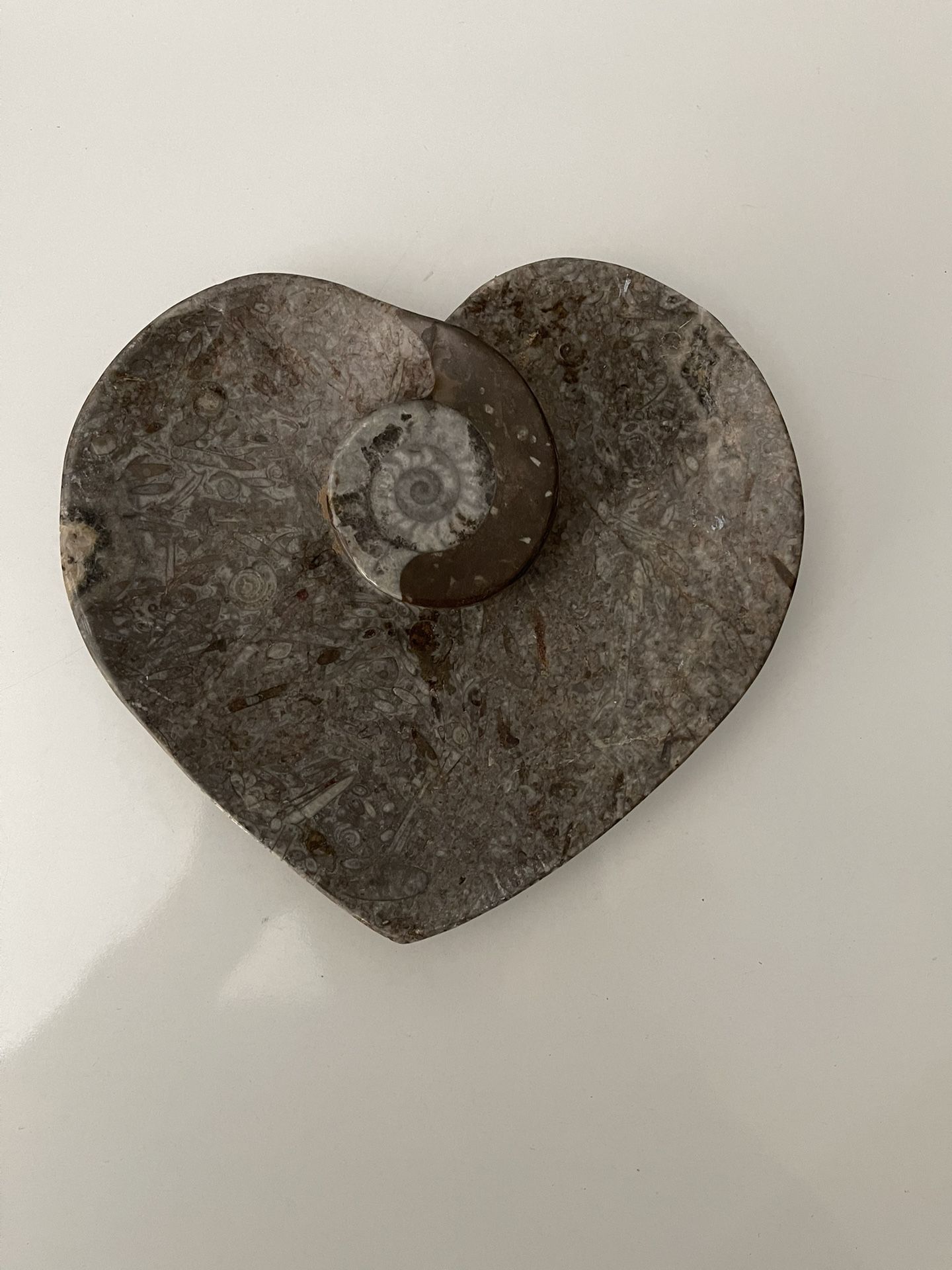 A Goniatite Ammonite Orthoceras Fossil Oval Dish is a decorative, polished stone platter or bowl