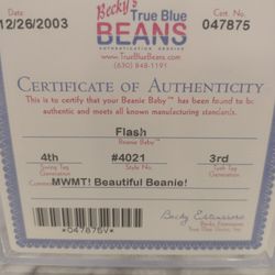 Flash The Dolphin Authenticated & Encapsulated Original Beanie Baby!!!