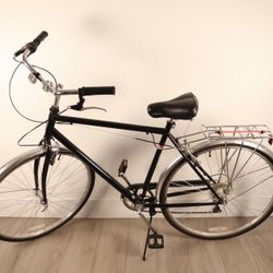 Schwinn Wayfarer Cruiser Hybrid Adult Bike Steel 