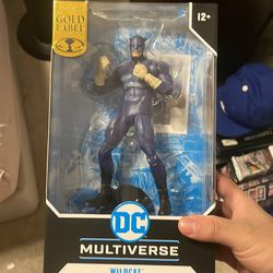 DC Multiverse wildcat