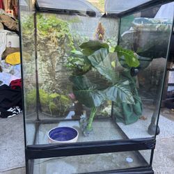 New Reptile Tank With Accessories 