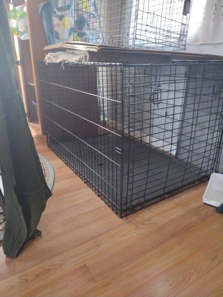 Big Dog Cage