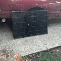 Dog Cage