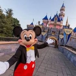 Disneyland Tickets